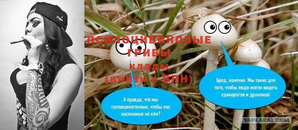 винт Арсеньев